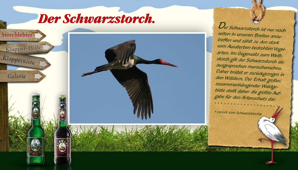 Der Schwarzstorch