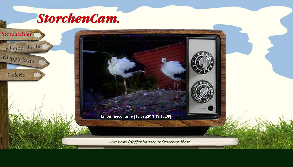 StorchenCam