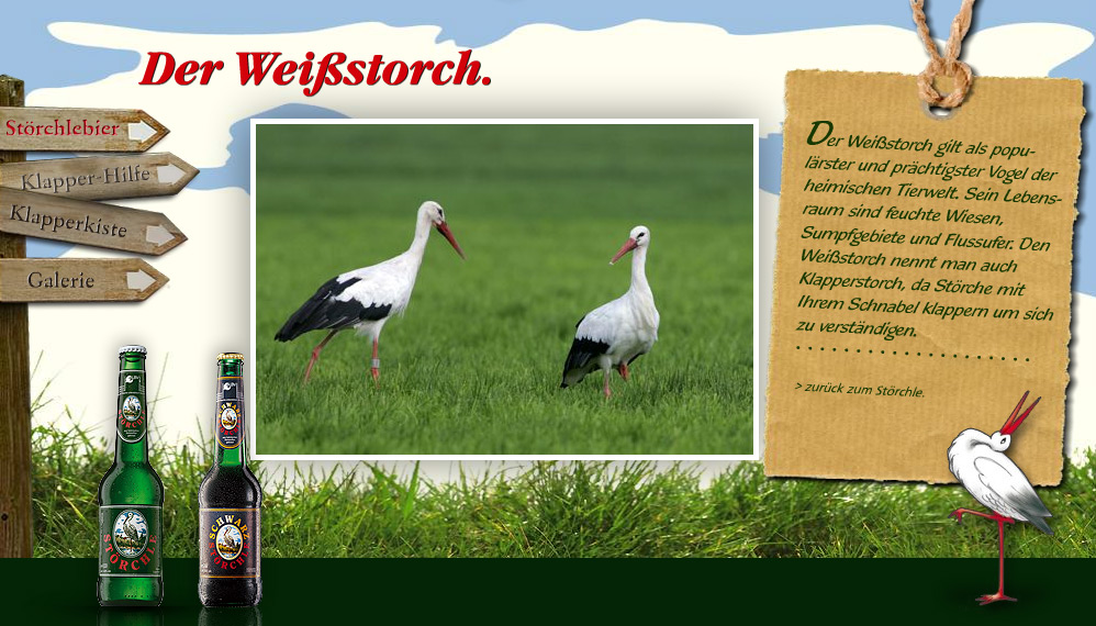 Der Weißstorch